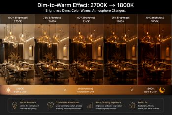 The Complete Guide to Dim-to-Warm LED Lighting